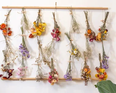 wall hanging of lots of dried flower bouquets made up of paper daisies