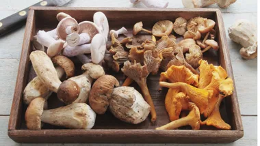 best way to store mushrooms