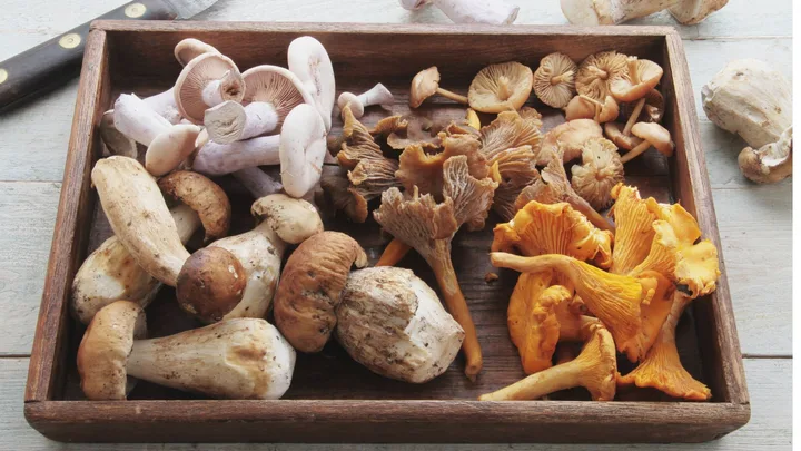 best way to store mushrooms