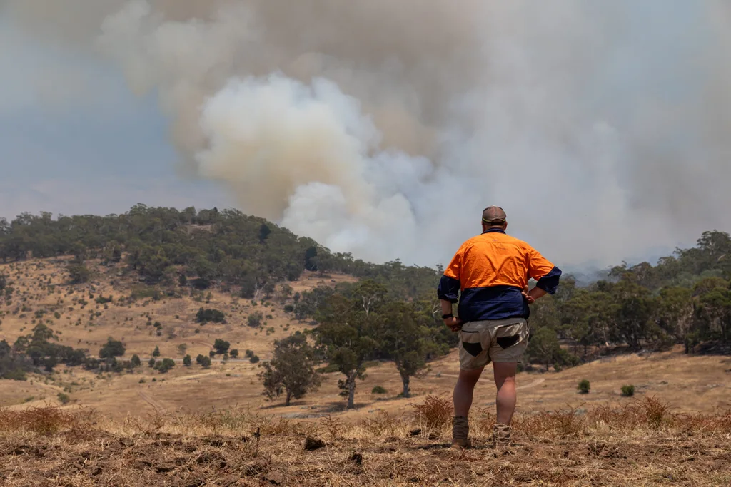 tradie local resident of harcourt watching hill with bushfire smoke coming out during january 2026 bushfires
