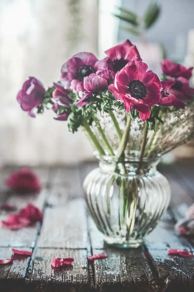 A clear glass vase with purple anemones