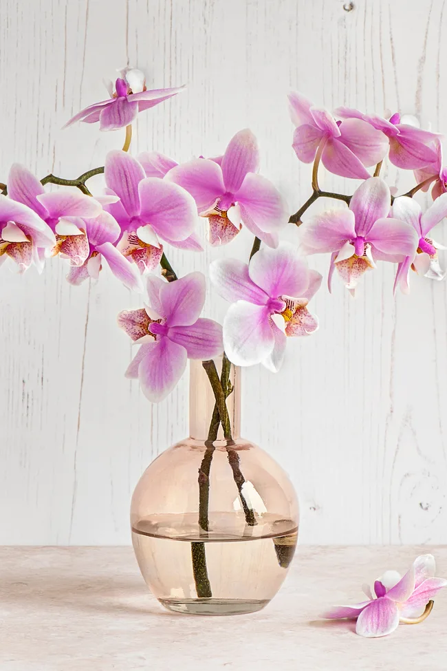 A clear glass vase with pink orchids