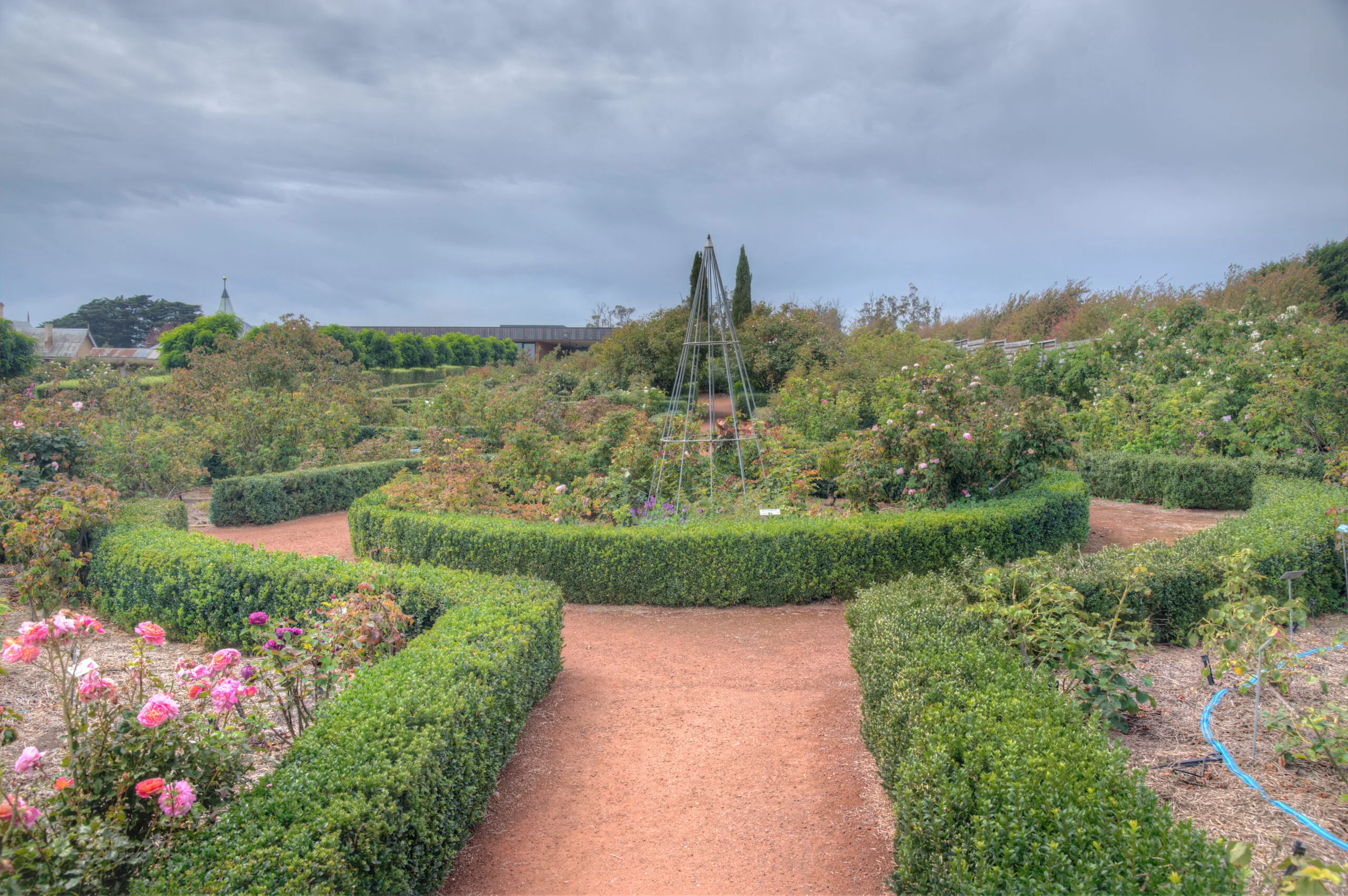 established rose garden ideas for you to try with red ochre gravel pathways