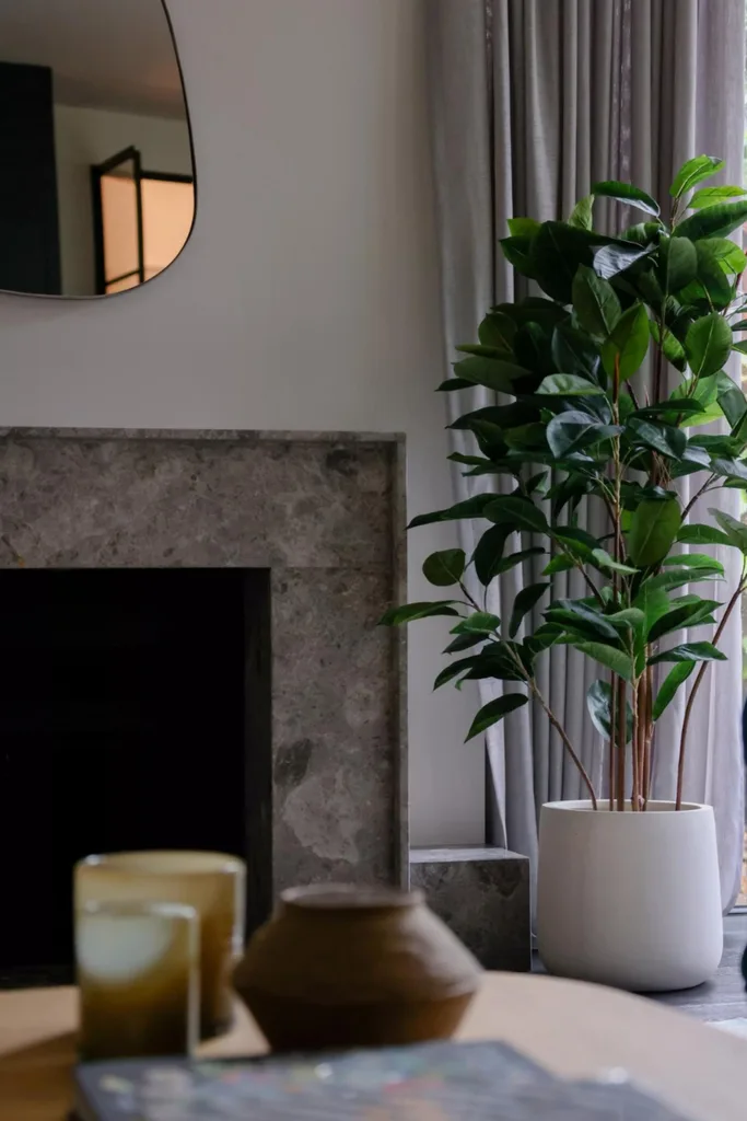 fake plant