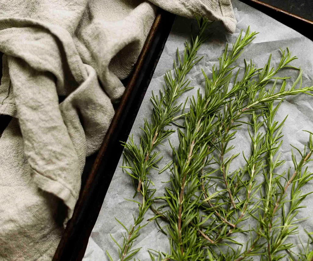 Rosemary on a baking tray ready to be dried in the oven. How to dry herbs: rosemary.