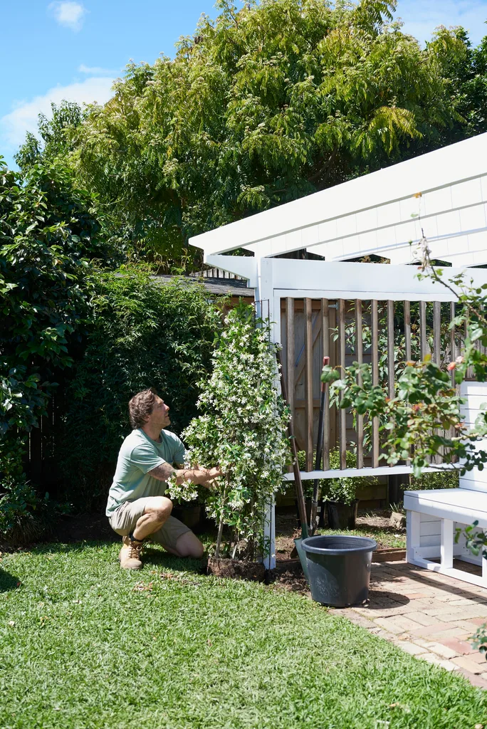 pergola with charlie fixing the side