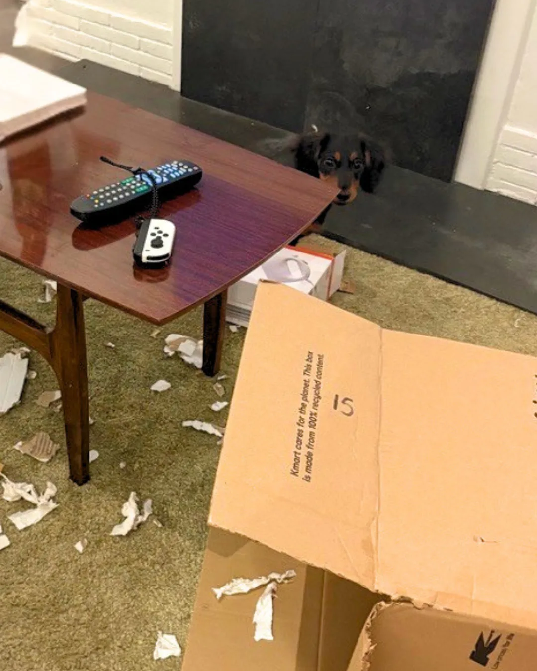 Lola making a mess of the house + puppy proofing
