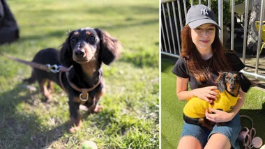Lola the mini dachshund in the park next to an image of shopping editor Paris Blanchfield holding her dog lola