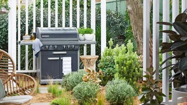 Barbcue in an outdoor area surrounded by lush green plants.