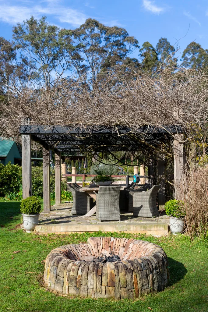 charlie albone's backyard pergola with wisteria vine and outdoor chairs and table underneath