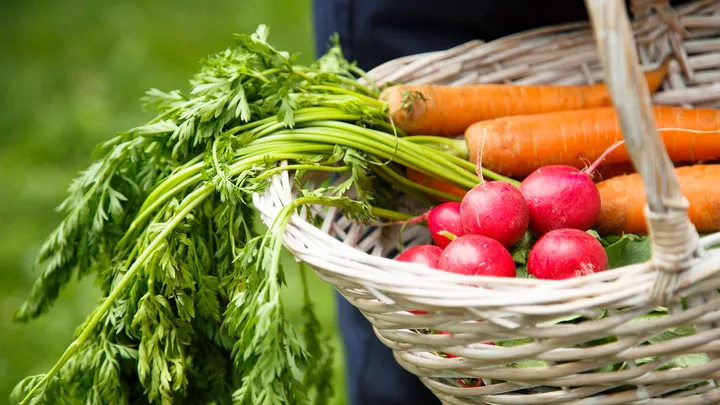 Vegetables in basket Fresh vegetables in basket