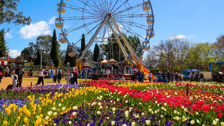 Australia’s most celebrated performers to headline Floriade’s evening NightFest