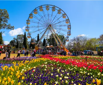 Australia’s most celebrated performers to headline Floriade’s evening NightFest