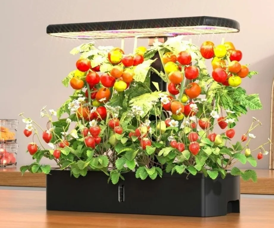 5 best grow lights for happy and healthy plants in 2025 - Better Homes ...