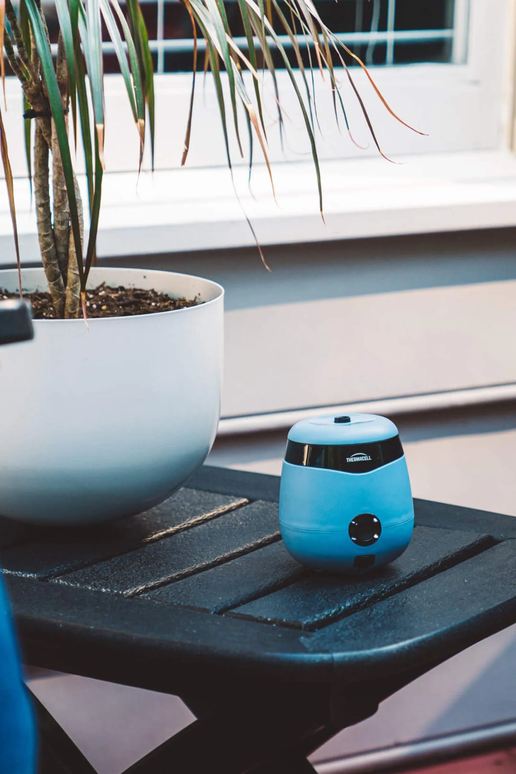 Thermacell mosquito repellent in blue on an outdoor table near a potted plant