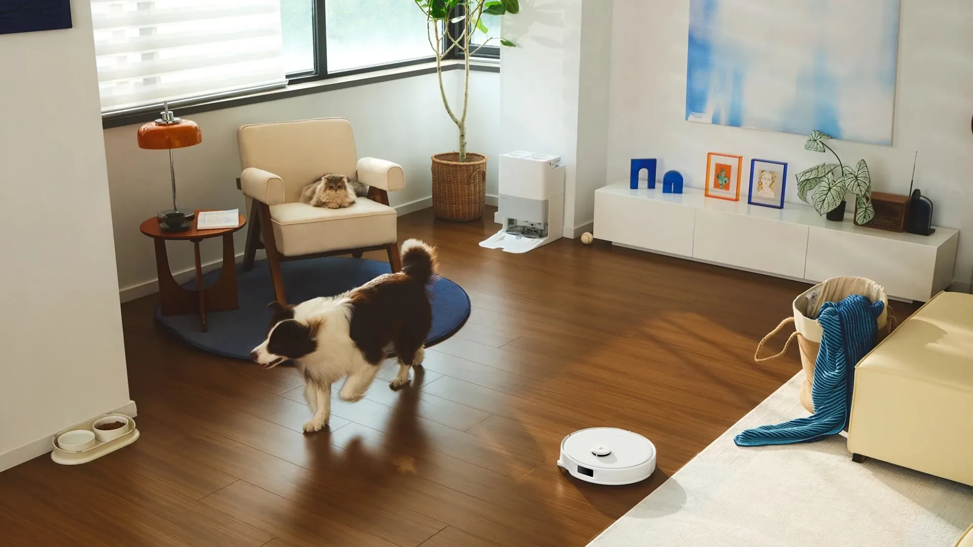 The Roborock Qrevo EdgeC in a room with a dog that's running towards something and a cat sitting on a chair.