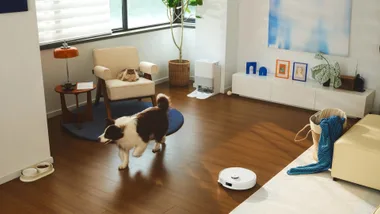 The Roborock Qrevo EdgeC in a room with a dog that's running towards something and a cat sitting on a chair.
