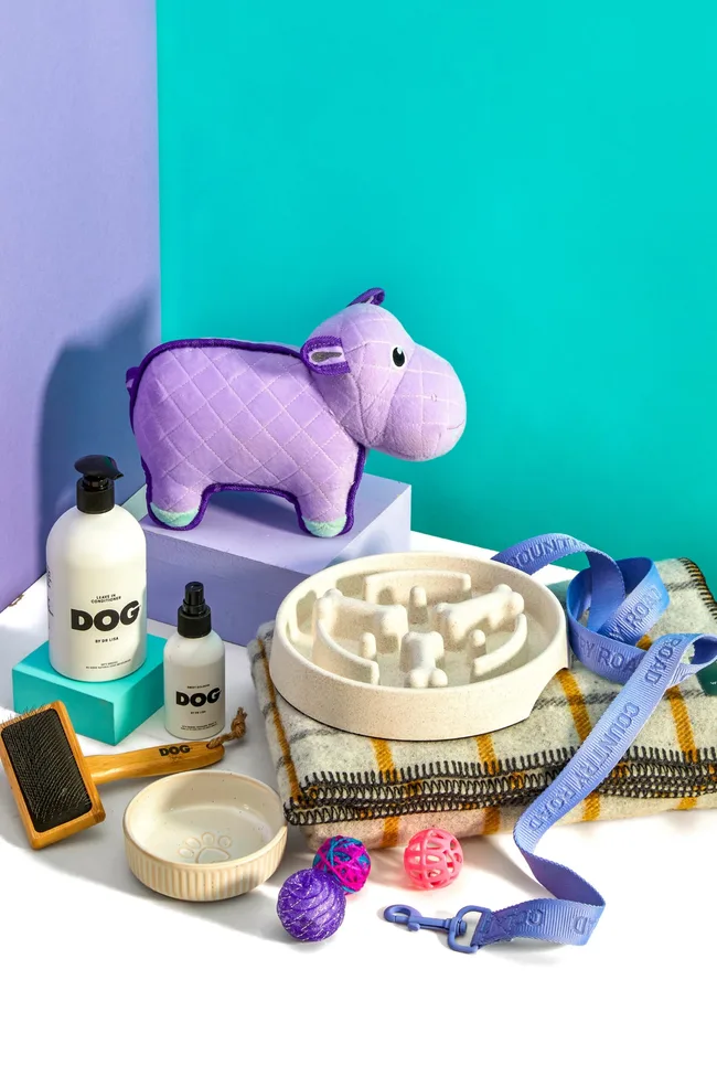 Gifts for pets arranged on a white table against a blue and purple backdrop.
