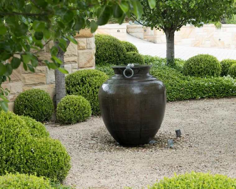 How to create a Mediterranean garden