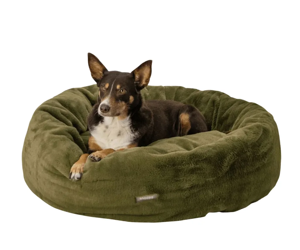 faux fur dog best dog beds with kelpie lying in it in a sage green colour