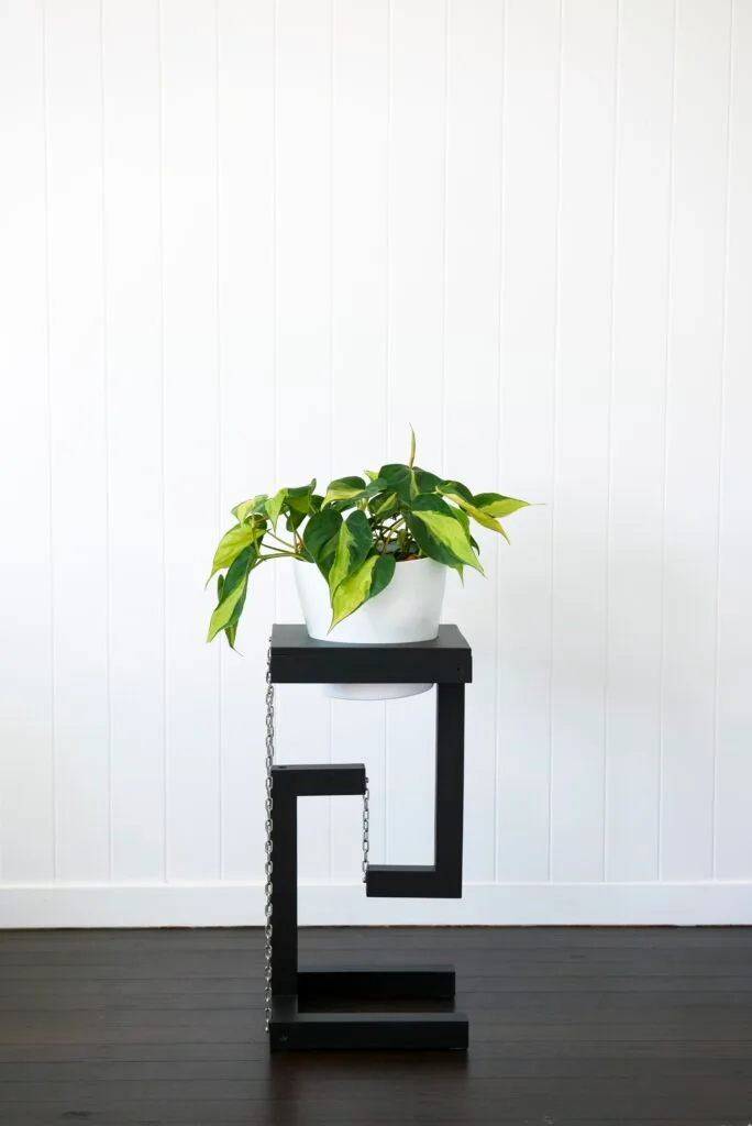 standalone image of tensegrity shelf with plant on top
