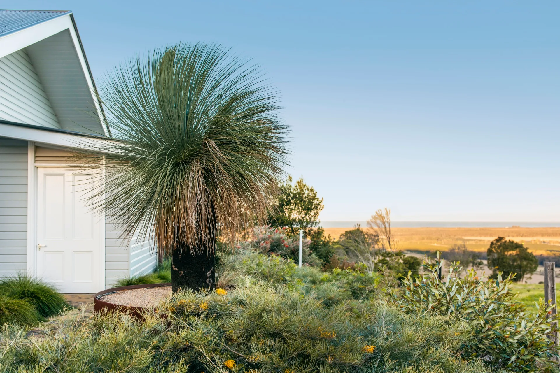 close up of front door with large grass tree