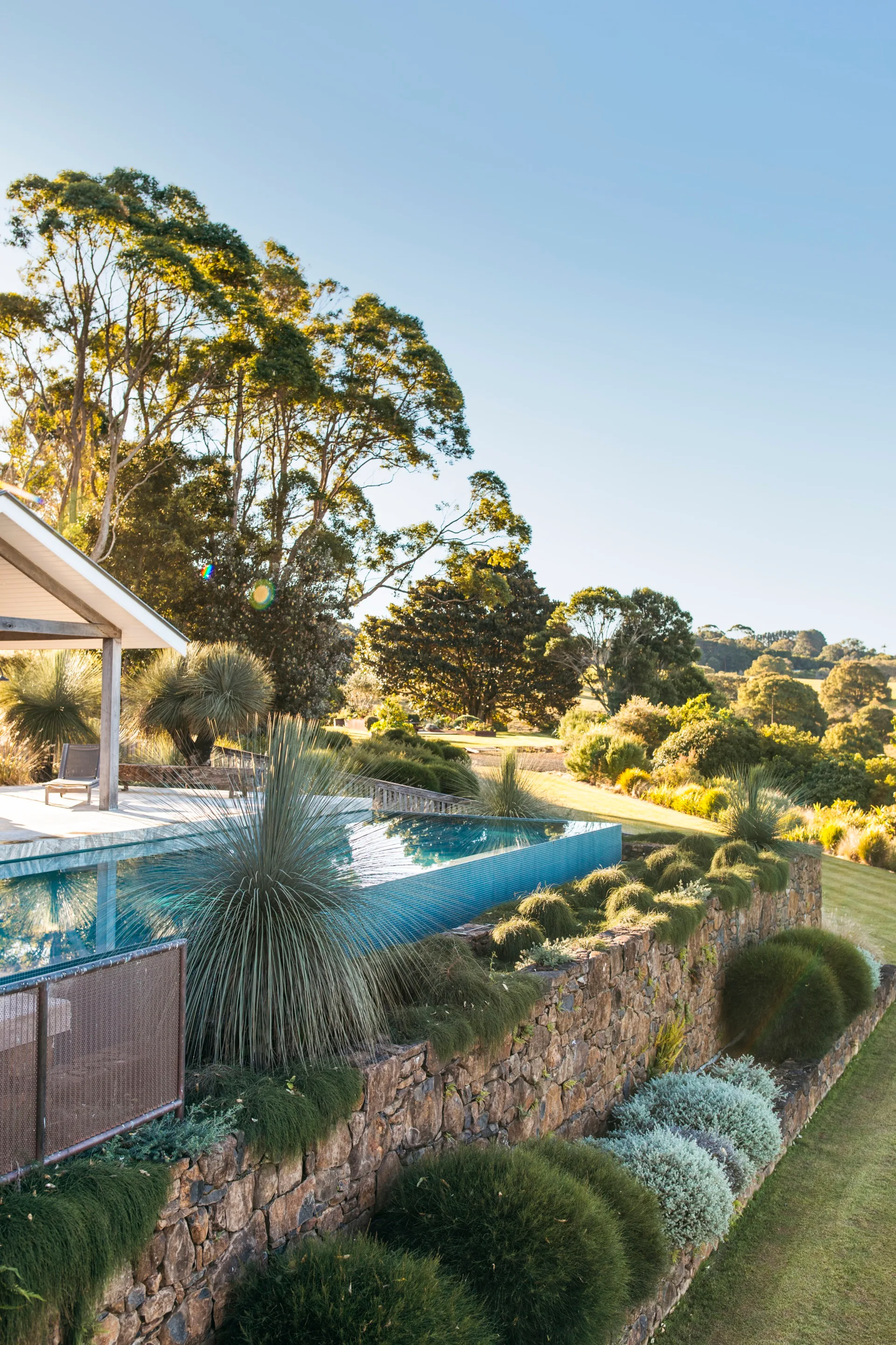 poolside with small grass trees and shrubs lining the front