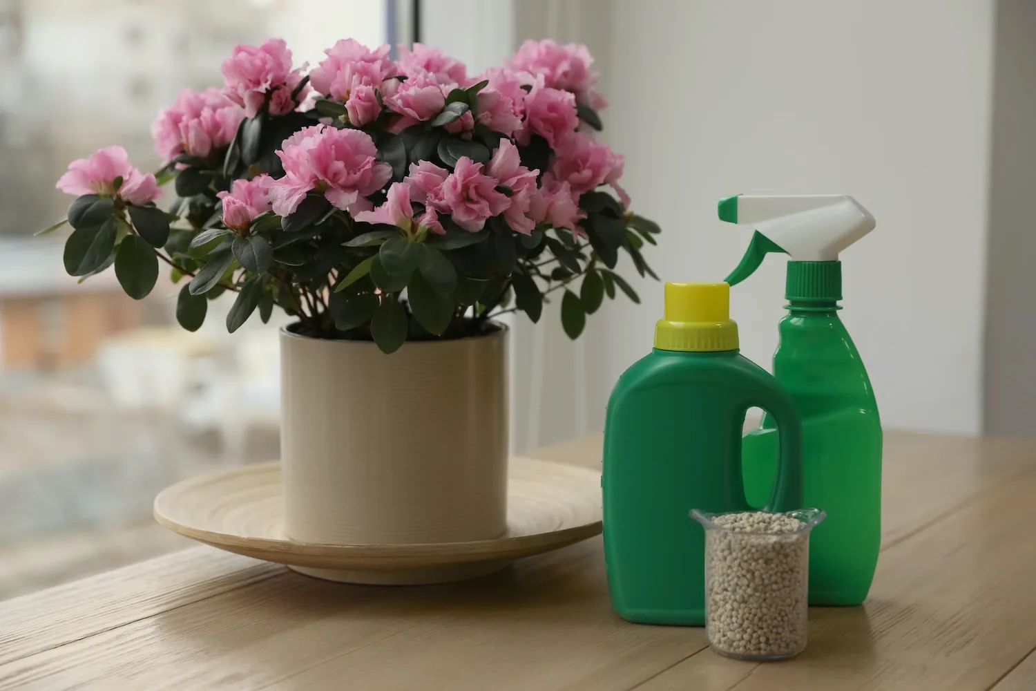Adding fertiliser can help revive a dying plant and keep a healthy one flourishing.
