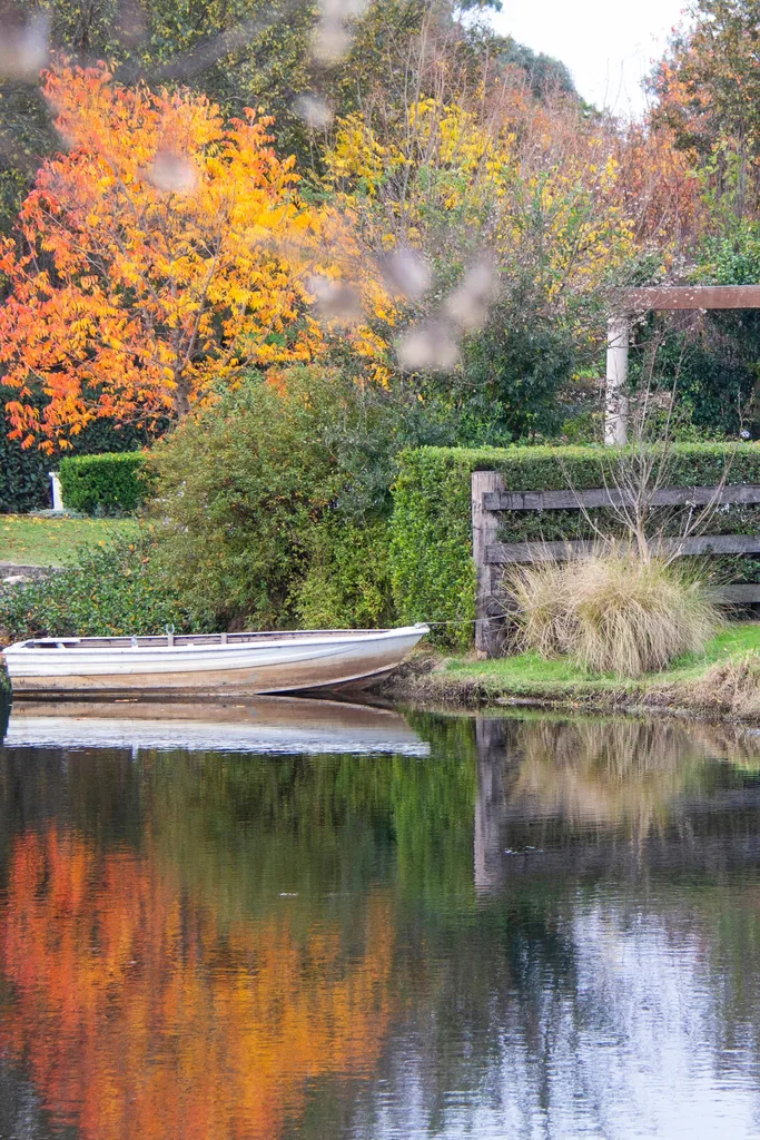 autumn orange foliage with small boat and lake