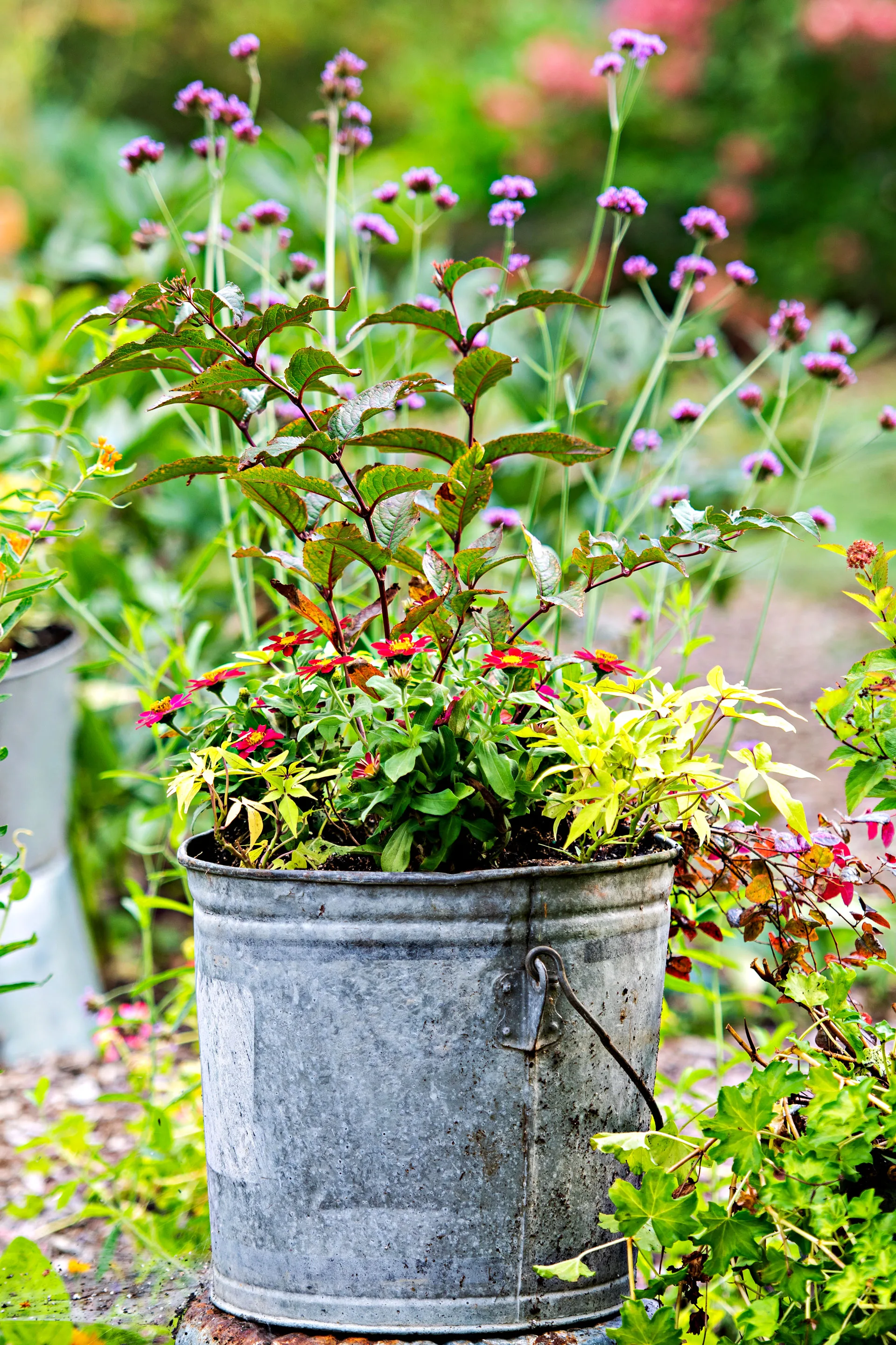 old upcycled bucket with a portable flower garden inside