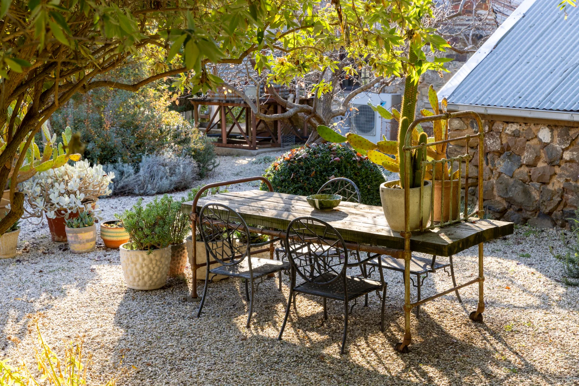 garden tables and chairs with cactus on the table and surrounding the area