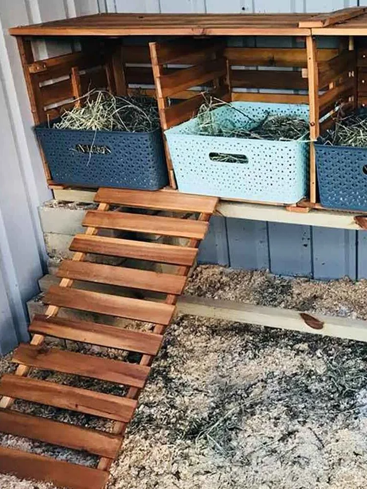 chicken coop with kmart storage baskets