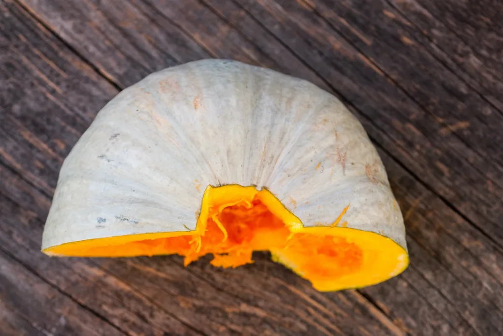 Queensland blue pumpkin.