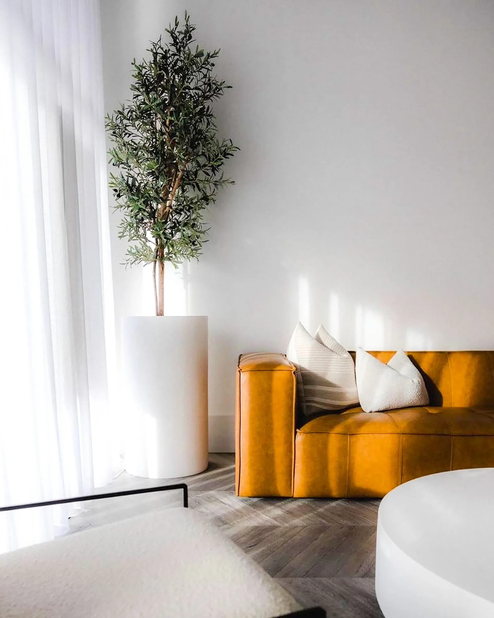 Modern living room with a large artificial olive tree by the window