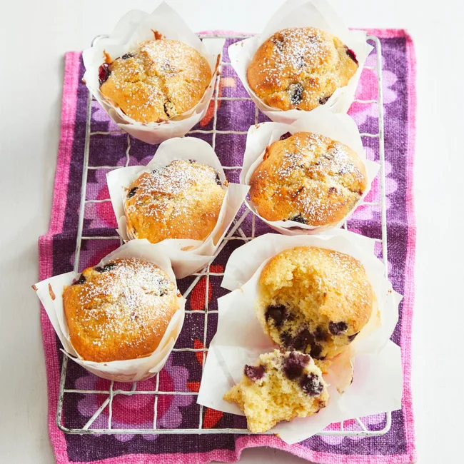 blueberry muffins on a tray