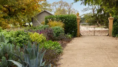 wire frame fence with two yellow stone posts for driveway and clivias, succulents garden down the left side