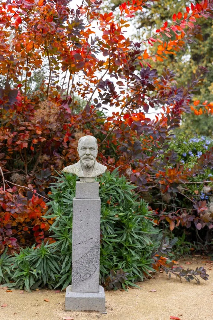 bust of thomas bath with purple and green foliage in the background