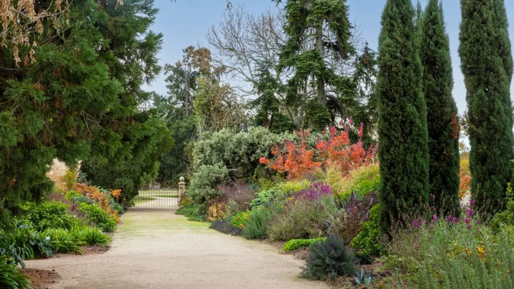 pathway with gate at the end and plants running on either side including several larger trees