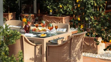 Outdoor Dining Table In Green Garden