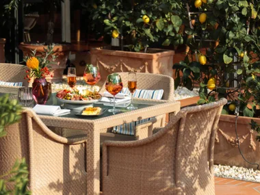 Outdoor Dining Table In Green Garden