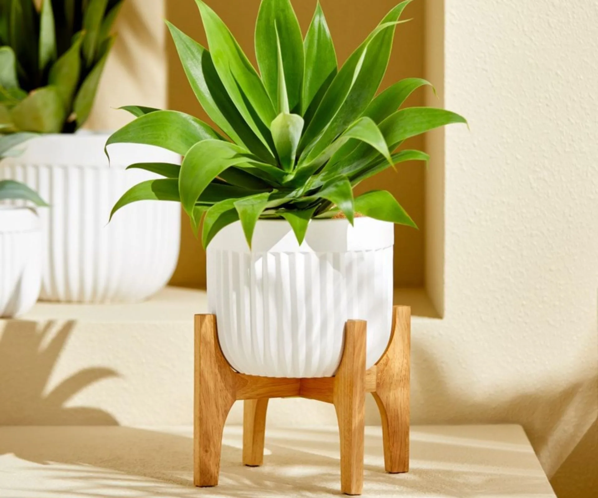 Freedom Wooden Planter Stand