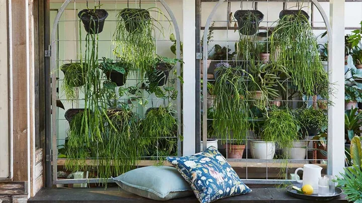greenhouse with hanging plants and a day bed