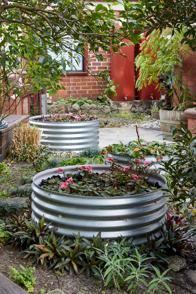 two raised garden beds with cyclamens in a and lots of shrubs surrounding it