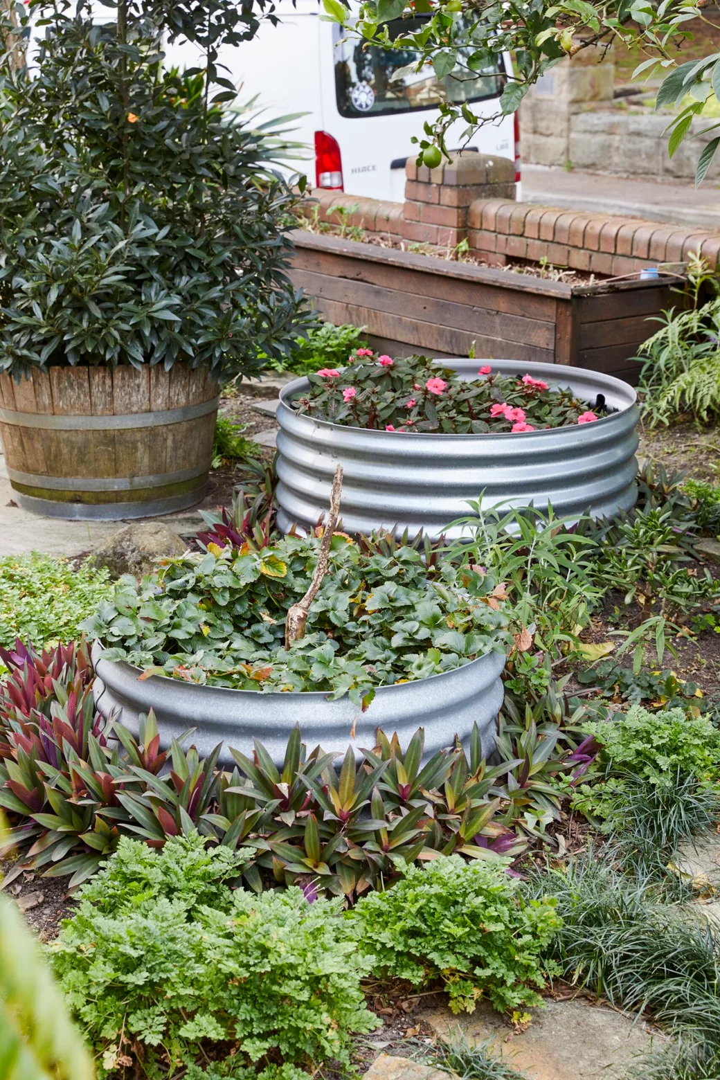 Gardening better homes and gardens