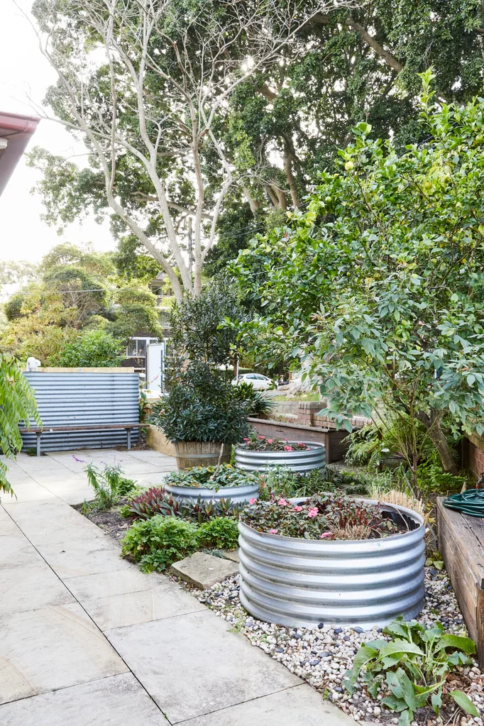 garden with corrugated iron garden beds in circular shape