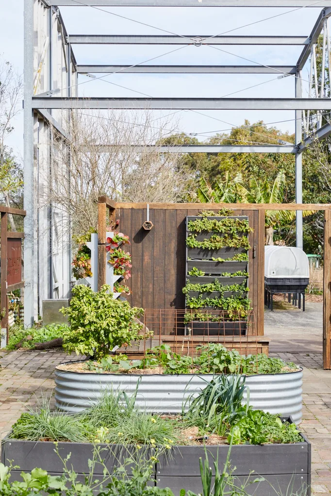 raised sustainable garden bed with trellis and vegetables in it with wooden wall behind and a vertical gardening structure