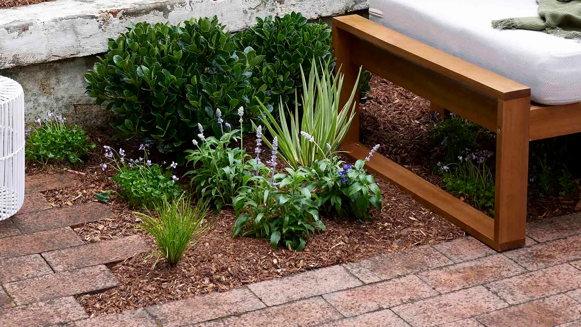 Flowers growing between brick pavers
