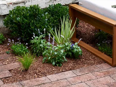 Flowers growing between brick pavers