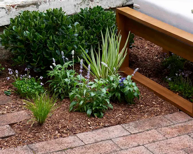 Flowers growing between brick pavers