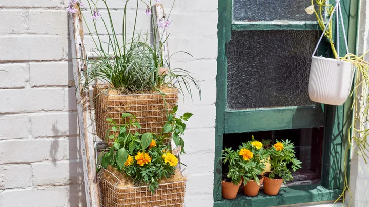 15 ways to grow a vertical garden that will save on space and money